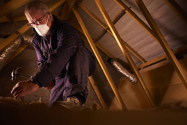 Best Insulation Installation Services in Ocean City, MD