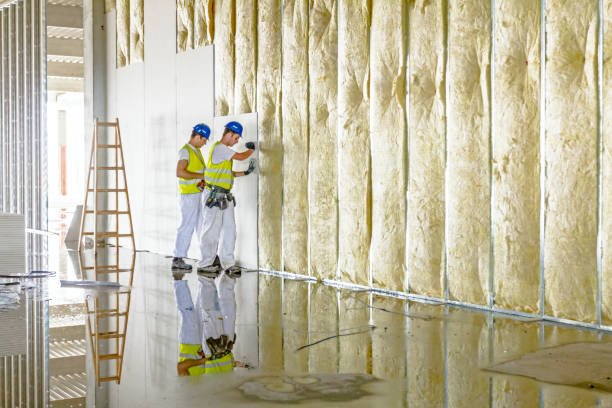 Best Insulation Installation Services in Ocean City, MD